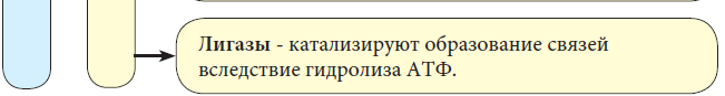 Химия - примеры с решением заданий и выполнением задач