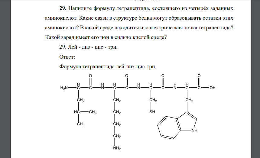 Напилите формулу тетрапептида, состоящего из четырёх заданных аминокислот. Какие связи в структуре белка