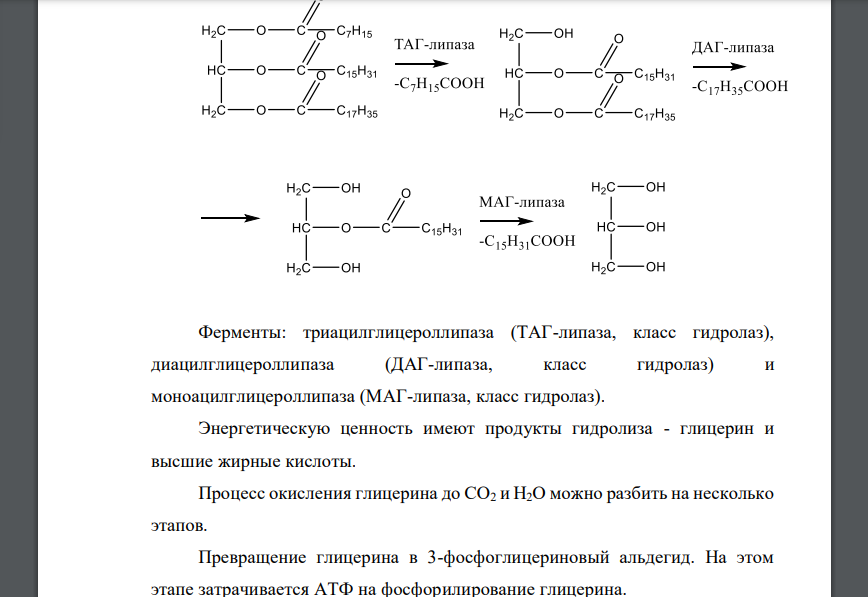Для триацилглицерина заданного состава напишите уравнения реакций полного окислительного распада в аэробных условиях с указанием названий