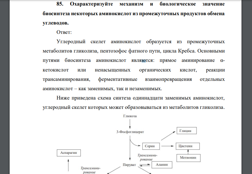 Охарактеризуйте механизм и биологическое значение биосинтеза некоторых аминокислот из промежуточных продуктов