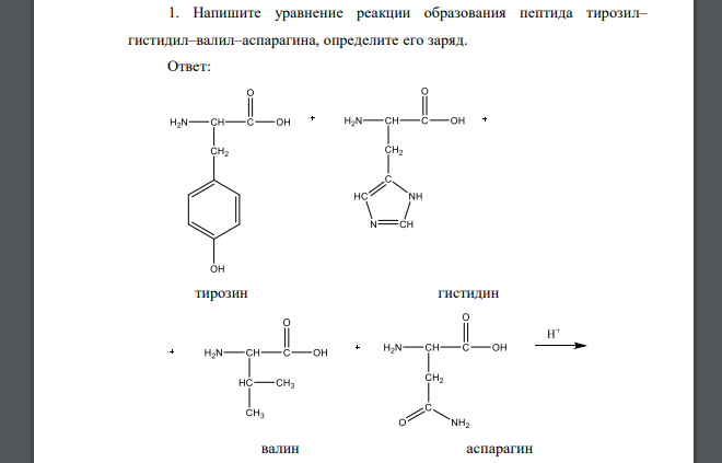 Напишите уравнение реакции образования пептида тирозил– гистидил–валил–аспарагина, определите его заряд.