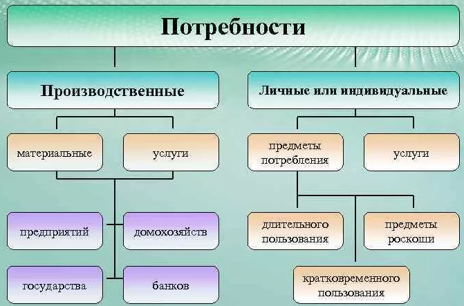 Потребности - определение, особенности, структура и преимущества