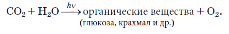 Химия - примеры с решением заданий и выполнением задач