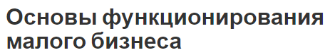 Основы функционирования малого бизнеса - особенности, условия развития и функционирование