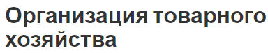 Организация товарного хозяйства - сущность, особенности и возникновение