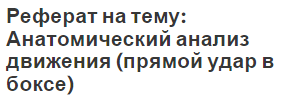 Реферат на тему: Анатомический анализ движения (прямой удар в боксе)