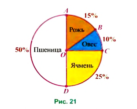 Отношения и пропорции - определение и вычисление с примерами решения