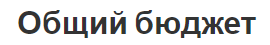 Общий бюджет - типы, концепция, этапы и контроль