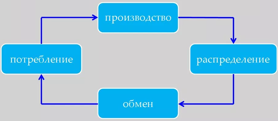 Общественное воспроизводство и движение продукта - понятие, этапы и модели