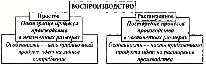 Общественное воспроизводство и движение продукта - понятие, этапы и модели