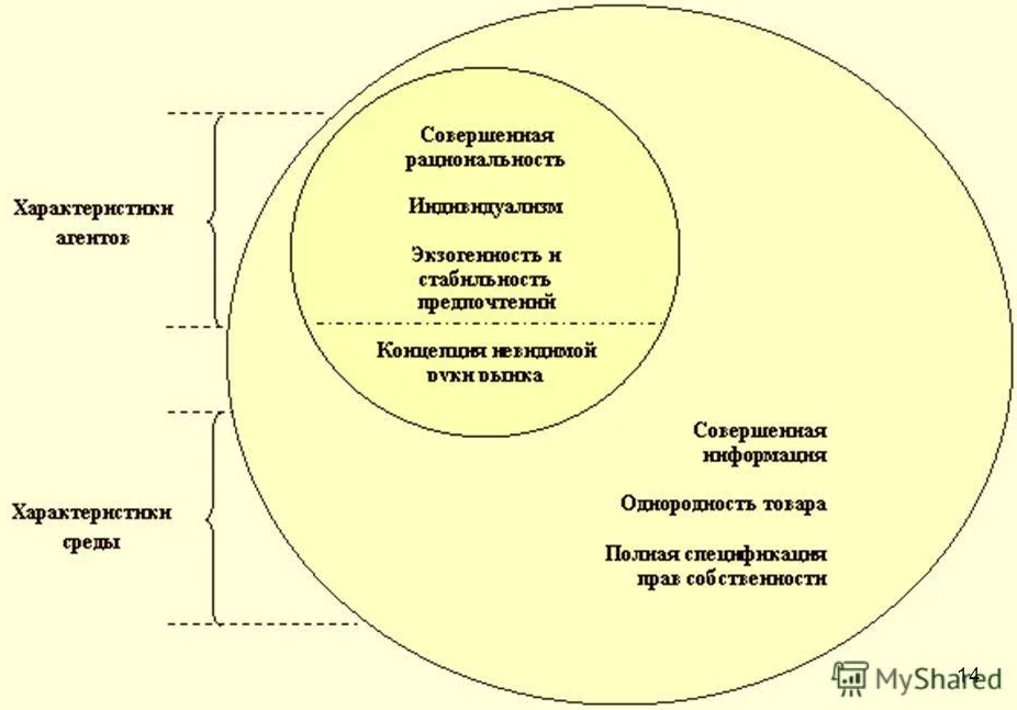 Неоклассическая теория - особенности, сложности и доктрины