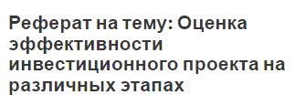 Реферат на тему: Оценка эффективности инвестиционного проекта на различных этапах