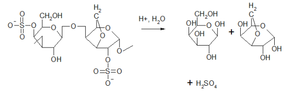 Напишите формулы строения элементарных звеньев заданных полисахаридов. Назовите их. Охарактеризуйте нахождение в природе заданных полисахаридов