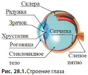 Физика - примеры с решением заданий и выполнением задач