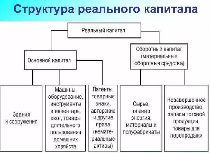 Капитал - виды, сущность, типы и формы