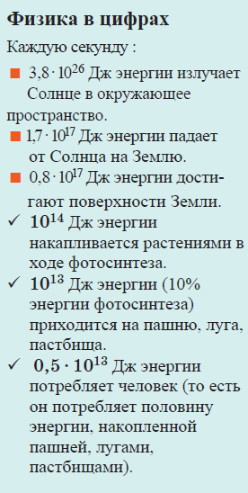 Физика - примеры с решением заданий и выполнением задач