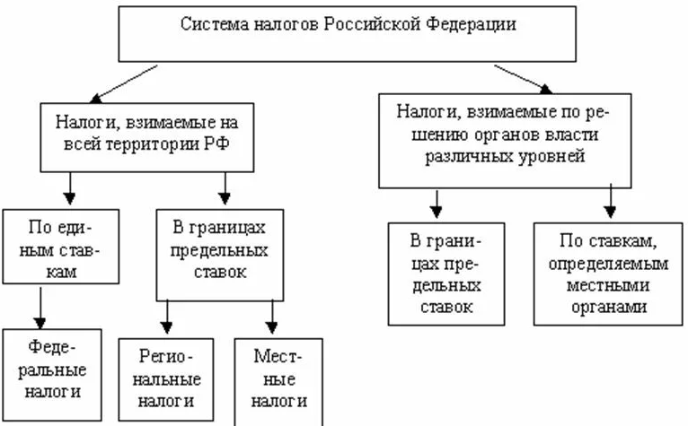 Развитие налога в российской федерации. Налоговая система РФ схема. Структура налоговой системы РФ схема. Налоговая система России схема. Структура налог системы РФ.