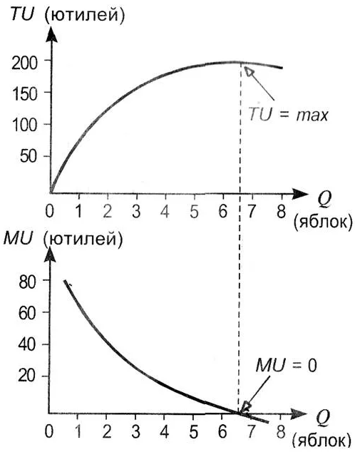 Графики общей и предельной полезности - теория и концепция