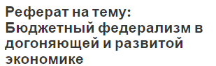 Реферат на тему: Бюджетный федерализм в догоняющей и развитой экономике