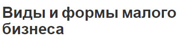 Виды и формы малого бизнеса - классификация и определения