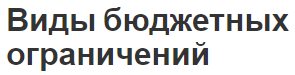 Виды бюджетных ограничений - роль, ограничения и характер