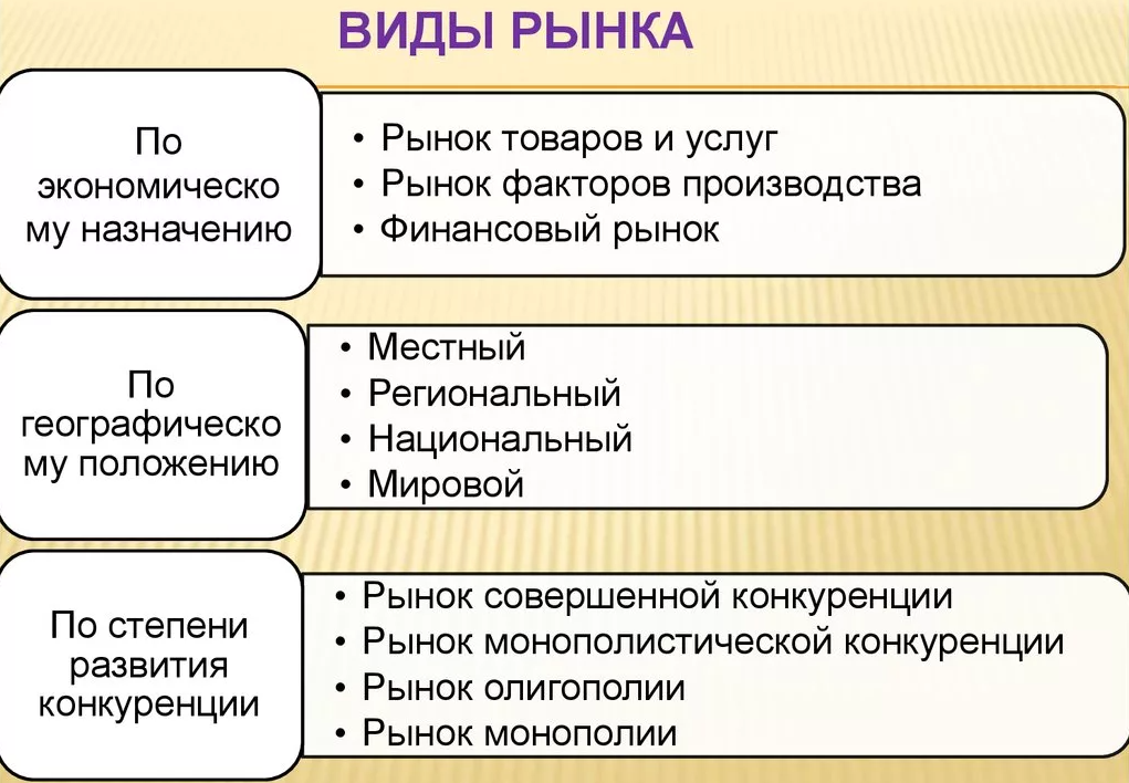 Виды рынка - типы, функции и понятия