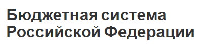 Бюджетная система Российской Федерации - формирование, концепция и особенности