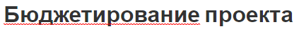 Бюджетирование проекта - функции, виды, концепция, плюсы и минусы