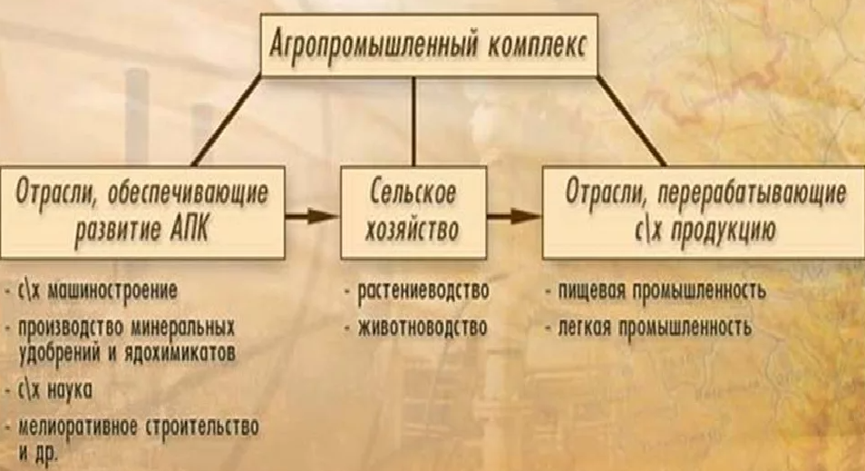 Назовите состав отрасли