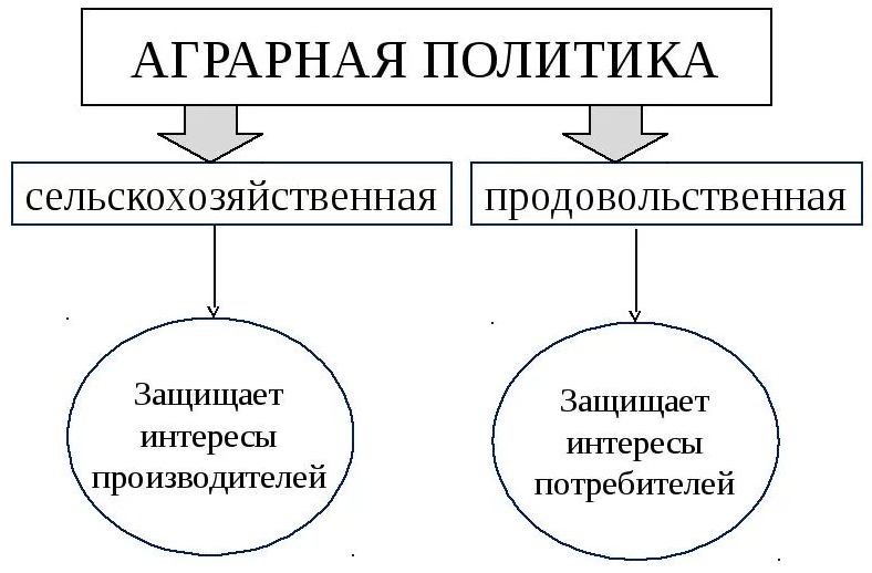 Аграрная экономика России - регулирование, основы, особенности и проблемы