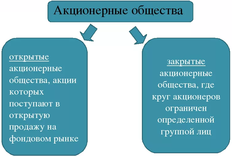 Акционерная прибыль - порядок получения, функции, особенности и распределение прибыли