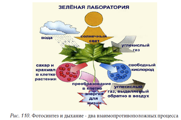 Химия - примеры с решением заданий и выполнением задач