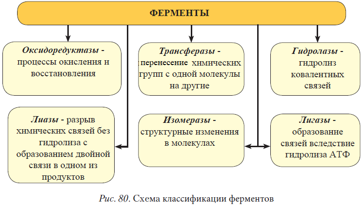 Химия - примеры с решением заданий и выполнением задач