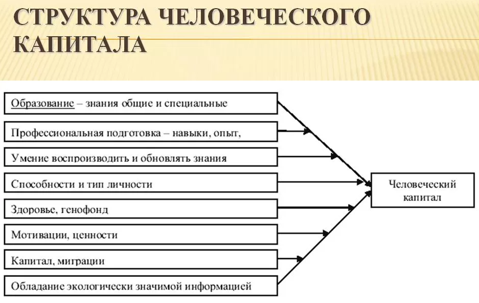 Человеческий фактор экономического роста - сущность и методы оценки