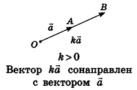 Декартовы координаты в пространстве - определение и примеры с решением