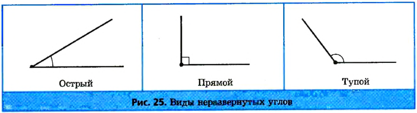 Геометрические фигуры и их свойства с примерами и решением