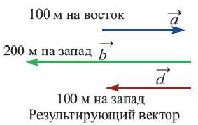 Вектор - определение и основные понятия с примерами решения