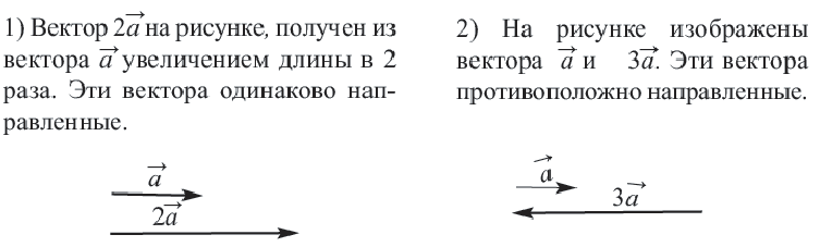 Вектор - определение и основные понятия с примерами решения