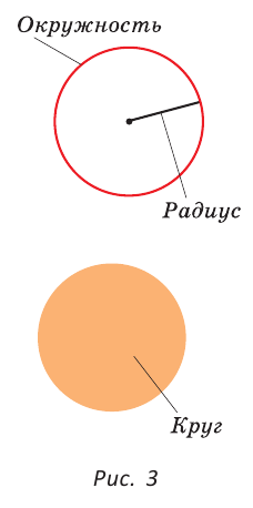 Окружность и ее части