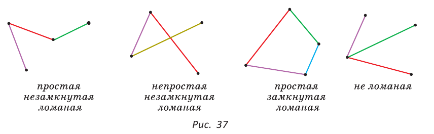 Прямая - понятие, виды и её свойства с примерами