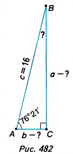 Как найти основание прямоугольного треугольника