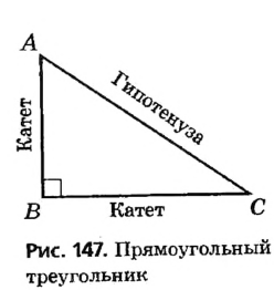 Что такое элементы треугольника