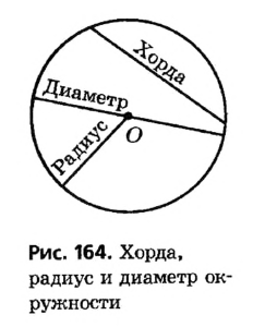 Окружность и ее части