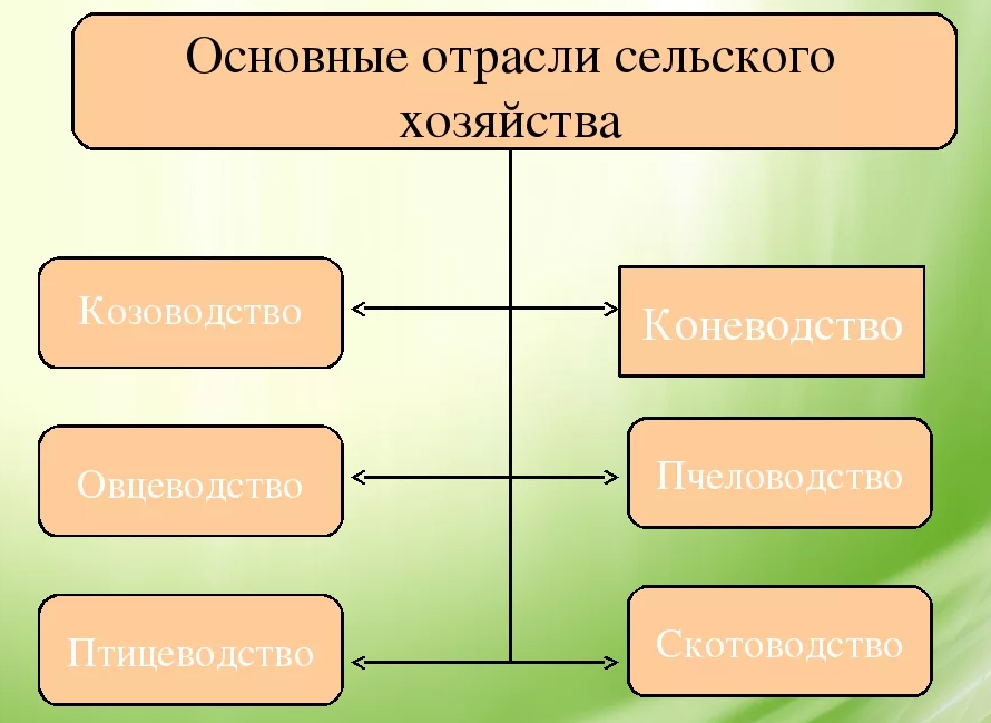 Цифровая экономика в сельском хозяйстве - концепция, состав и информатизация