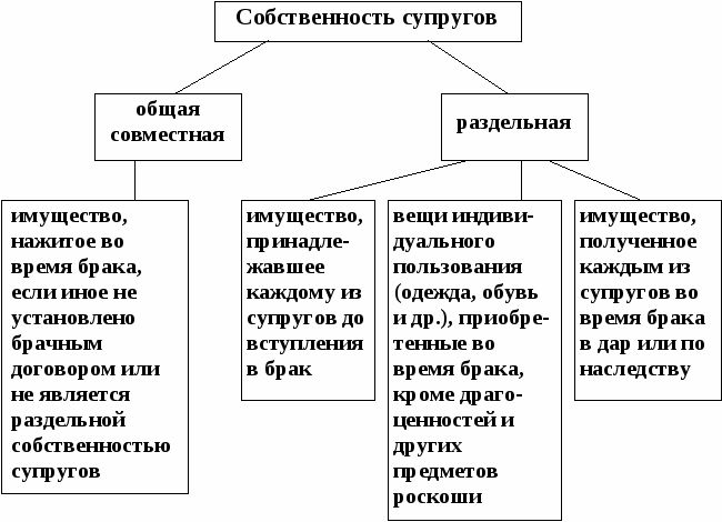 Виды режимов имущества супругов схема
