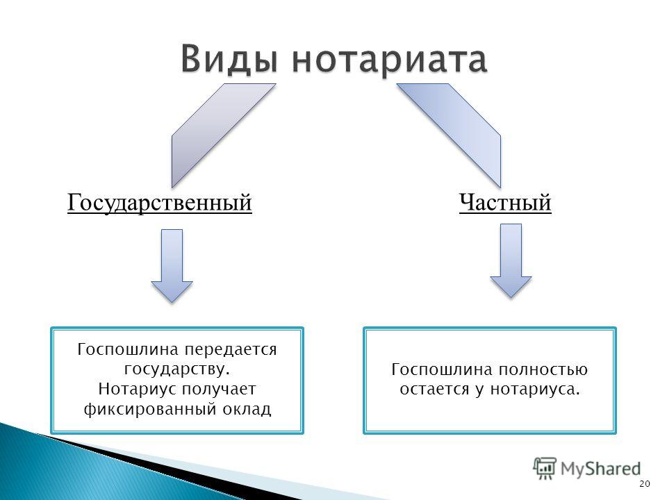 Курсовая работа по теме Нотариат и нотариальные действия в системе юридических фактов гражданского права Курсовая работа по теме Нотариат и нотариальные действия в системе юридических фактов гражданского права
