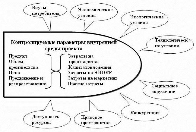 Внутреннее и внешнее окружение проекта