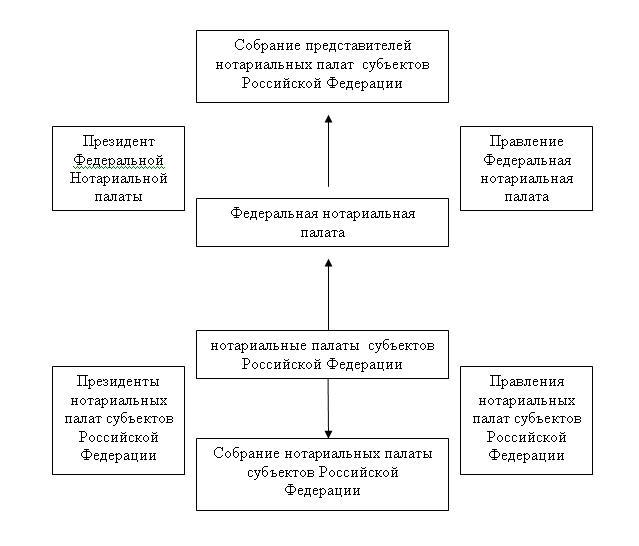 Структура нотариата схема