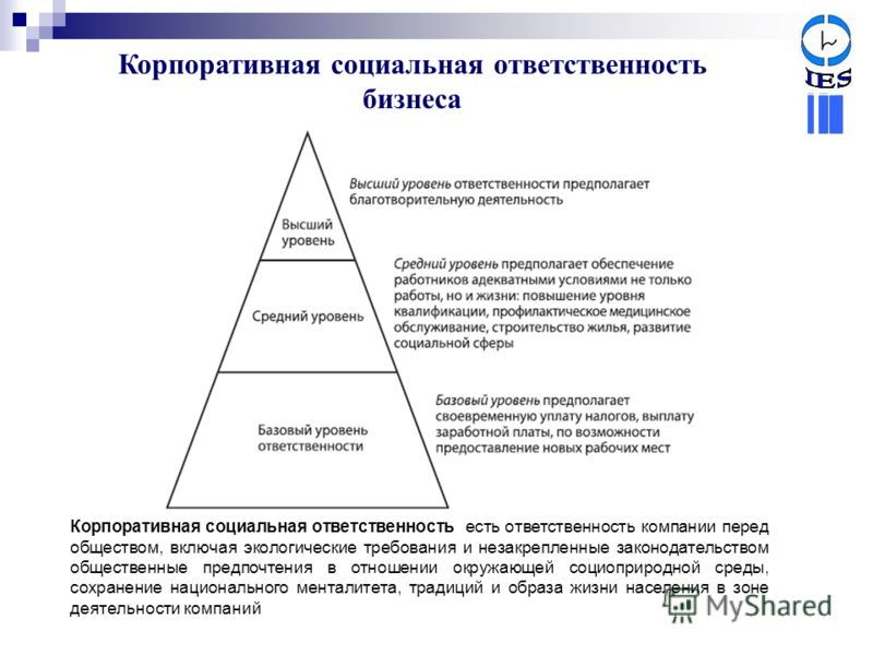 Особенности проявления социальной ответственности гражданина презентация