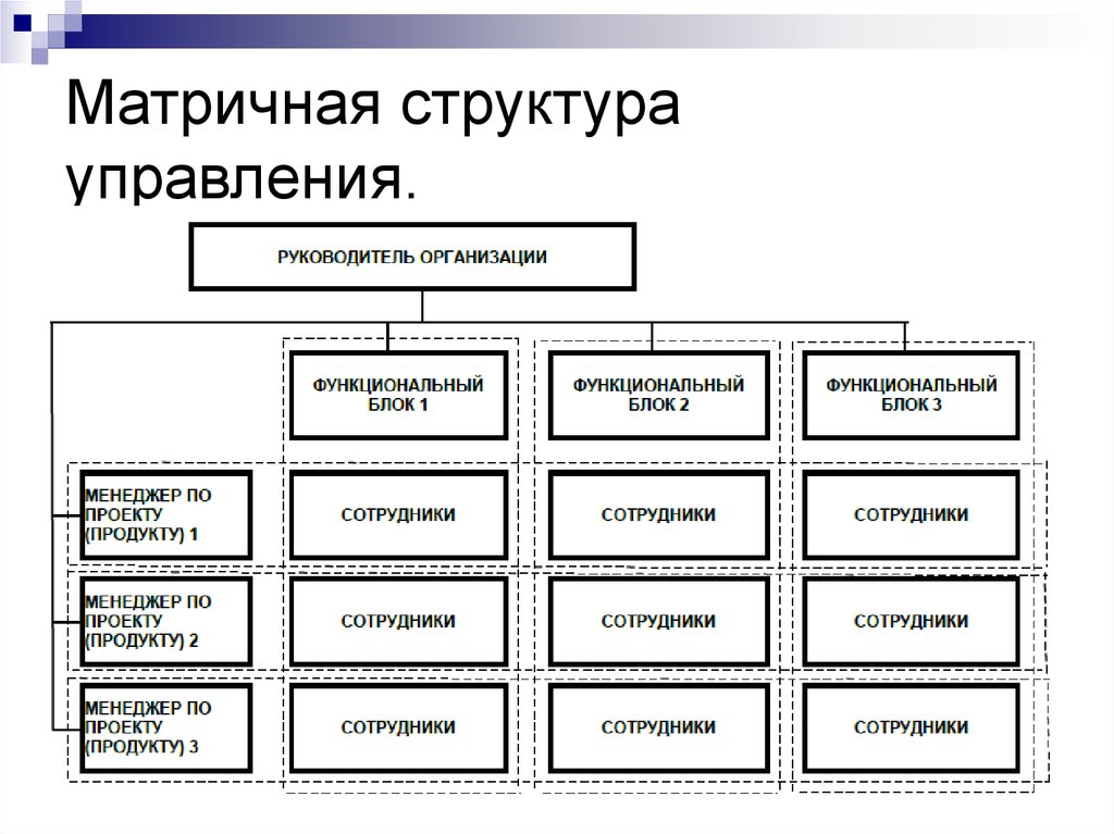 Матричная организационная структура управления проектами